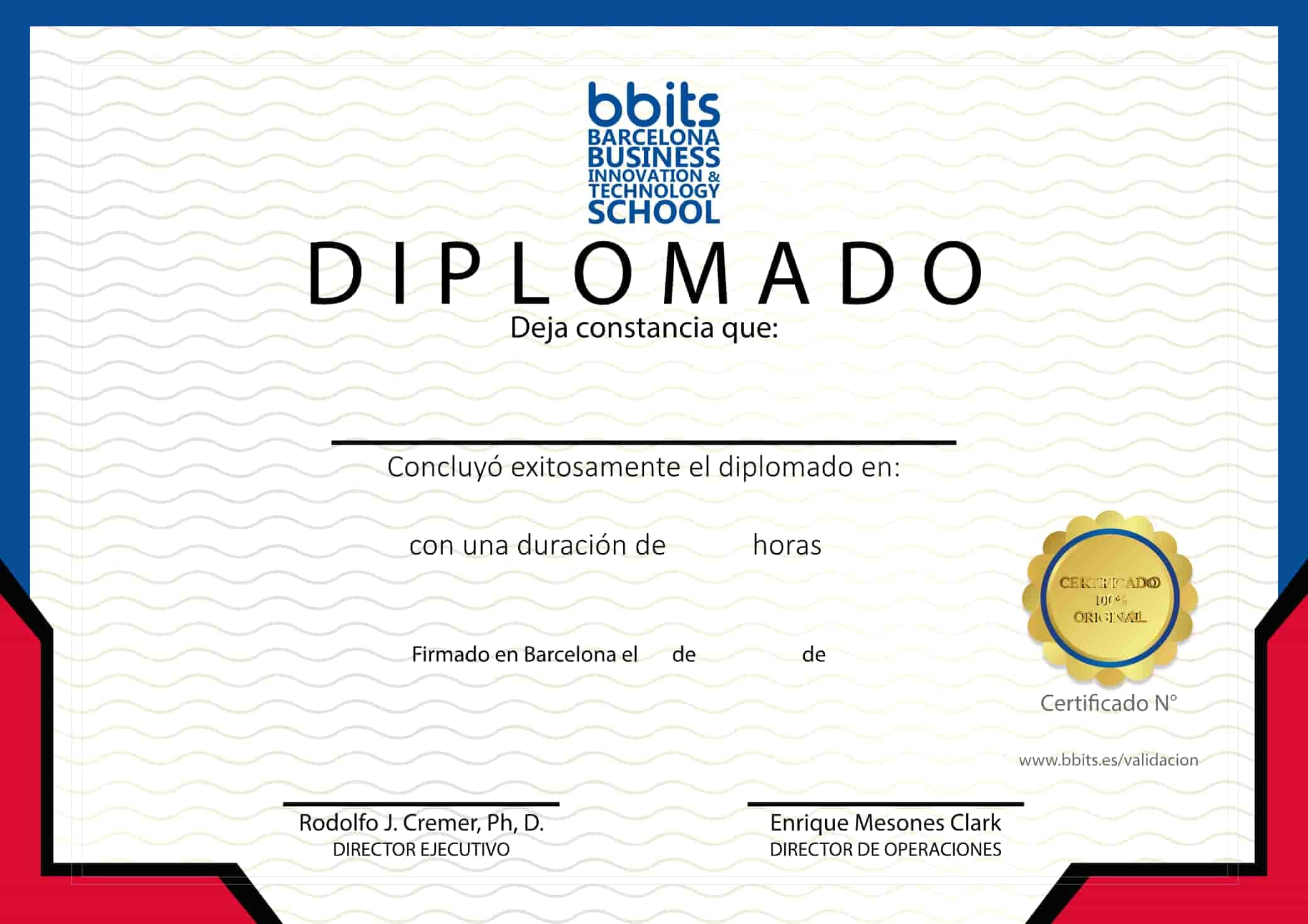 Diploma Bbits